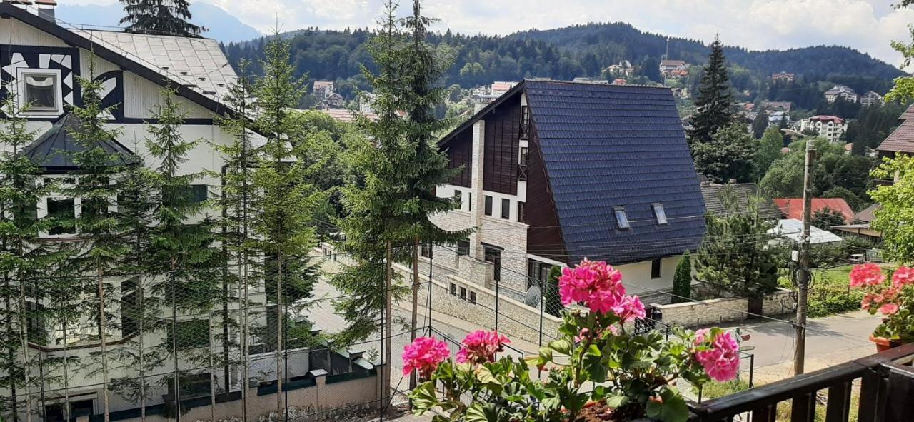 Mountain Breeze Hotel Predeal Exterior foto